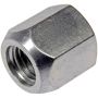 DORMAN 611-312.1 Wheel Nut M12-1.50 Standard - 19 Mm Hex, 20 Mm Length
