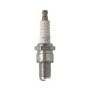 NGK 3992 NGK Racing Spark Plug