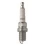 NGK 4897 NGK Racing Spark Plug