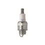 NGK 97568 NGK Standard Spark Plug Shop Pack