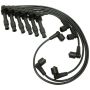 NGK 51045 NGK Spark Plug Wire Set