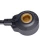 Walker Products 242-1067 Walker Products 242-1067 Ignition Knock (Detonation) Sensor