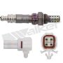 Walker Products 250-24336 Walker Products 250-24336 Oxygen Sensor 4-W Direct Fit Narrow-Band