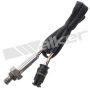 Walker Products 250-24810 Walker Products 250-24810 Oxygen Sensor 4-W Titania