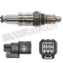 Walker Products 250-25137 Walker Products 250-25137 O2 Sensor 5-W Wide-Band