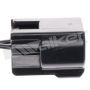 Walker Products 270-1077-8 Walker Products 270-1077-8 Electrical Pigtail Set