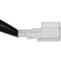 Walker Products 350-34079 Walker Products 350-34079 Oxygen Sensor 4-W Direct Fit Narrow-Band