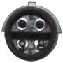 Walker Products 350-34531 Walker Products 350-34531 Oxygen Sensor 4-W Direct Fit Narrow-Band