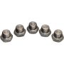 Walker Products 90-204SSP Walker Products 90-204SSP O2 Bung Plug Stainless Steel 12mm Threads-Pkg (5 pc.)
