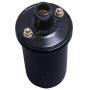 Walker Products 920-1001 ThunderSpark 920-1001 Ignition Coil