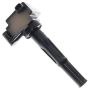 Walker Products 921-2009 ThunderSpark 921-2009 Ignition Coil