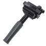 Walker Products 921-2195 ThunderSpark 921-2195 Ignition Coil