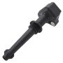Walker Products 921-2197 ThunderSpark 921-2197 Ignition Coil