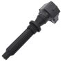 Walker Products 921-2238 ThunderSpark 921-2238 Ignition Coil