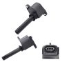 Walker Products 921-2243 ThunderSpark 921-2243 Ignition Coil