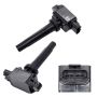 Walker Products 921-2271 ThunderSpark 921-2271 Ignition Coil