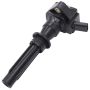Walker Products 921-2385 ThunderSpark 921-2385 Ignition Coil