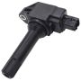 Walker Products 921-2438 ThunderSpark 921-2438 Ignition Coil
