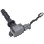 Walker Products 921-92174 ThunderSpark 921-92174 Ignition Coil