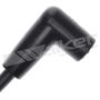 Walker Products 924-1008 ThunderCore PRO 924-1008 Spark Plug Wire Set