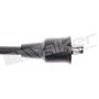 Walker Products 924-1010 ThunderCore PRO 924-1010 Spark Plug Wire Set