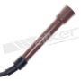 Walker Products 924-1019 ThunderCore PRO 924-1019 Spark Plug Wire Set