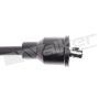 Walker Products 924-1019 ThunderCore PRO 924-1019 Spark Plug Wire Set