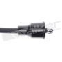Walker Products 924-1019 ThunderCore PRO 924-1019 Spark Plug Wire Set