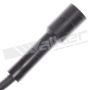 Walker Products 924-1021 ThunderCore PRO 924-1021 Spark Plug Wire Set