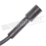 Walker Products 924-1030 ThunderCore PRO 924-1030 Spark Plug Wire Set
