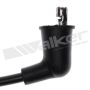 Walker Products 924-1034 ThunderCore PRO 924-1034 Spark Plug Wire Set