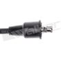 Walker Products 924-1040 ThunderCore PRO 924-1040 Spark Plug Wire Set