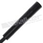 Walker Products 924-1041 ThunderCore PRO 924-1041 Spark Plug Wire Set