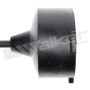 Walker Products 924-1045 ThunderCore PRO 924-1045 Spark Plug Wire Set
