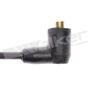 Walker Products 924-1065 ThunderCore PRO 924-1065 Spark Plug Wire Set