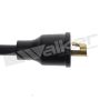 Walker Products 924-1066 ThunderCore PRO 924-1066 Spark Plug Wire Set