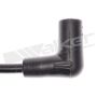 Walker Products 924-1091 ThunderCore PRO 924-1091 Spark Plug Wire Set