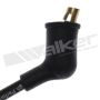 Walker Products 924-1118 ThunderCore PRO 924-1118 Spark Plug Wire Set
