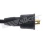 Walker Products 924-1123 ThunderCore PRO 924-1123 Spark Plug Wire Set