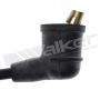 Walker Products 924-1129 ThunderCore PRO 924-1129 Spark Plug Wire Set