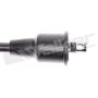 Walker Products 924-1162 ThunderCore PRO 924-1162 Spark Plug Wire Set