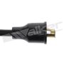 Walker Products 924-1175 ThunderCore PRO 924-1175 Spark Plug Wire Set
