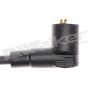 Walker Products 924-1176 ThunderCore PRO 924-1176 Spark Plug Wire Set
