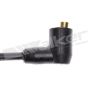 Walker Products 924-1179 ThunderCore PRO 924-1179 Spark Plug Wire Set