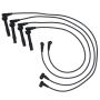 Walker Products 924-1204 ThunderCore PRO 924-1204 Spark Plug Wire Set