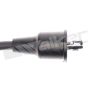 Walker Products 924-1218 ThunderCore PRO 924-1218 Spark Plug Wire Set