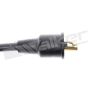 Walker Products 924-1233 ThunderCore PRO 924-1233 Spark Plug Wire Set
