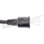 Walker Products 924-1233 ThunderCore PRO 924-1233 Spark Plug Wire Set
