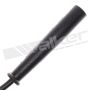 Walker Products 924-1253 ThunderCore PRO 924-1253 Spark Plug Wire Set