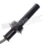 Walker Products 924-1267 ThunderCore PRO 924-1267 Spark Plug Wire Set